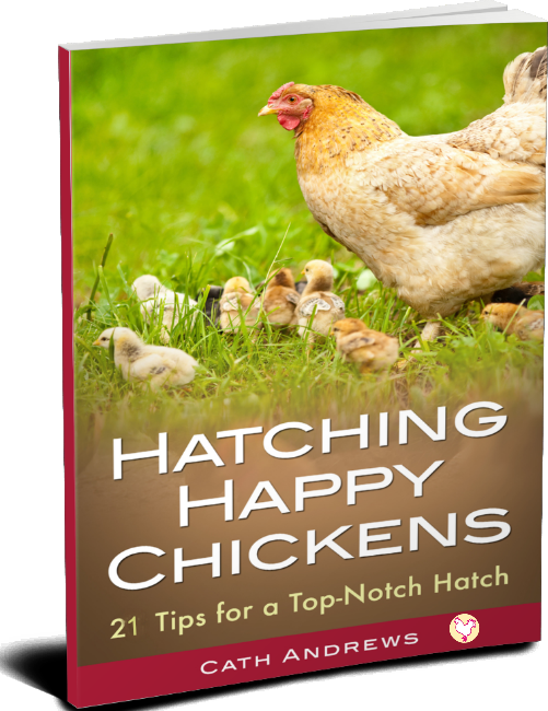 My Kindle book - hatching happy chickens!