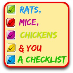 Guide to Get How to get rid of rats in your chicken coop
 