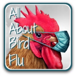 All about bird flu - link.