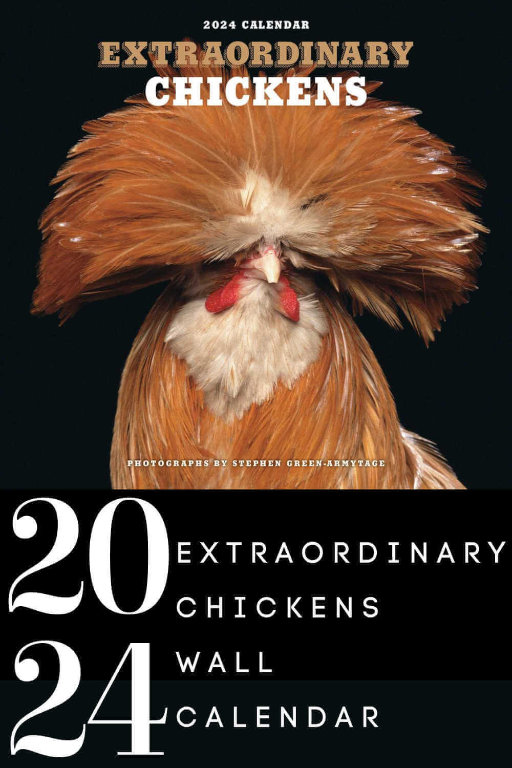 An Extraordinary Chicken Calendar Review