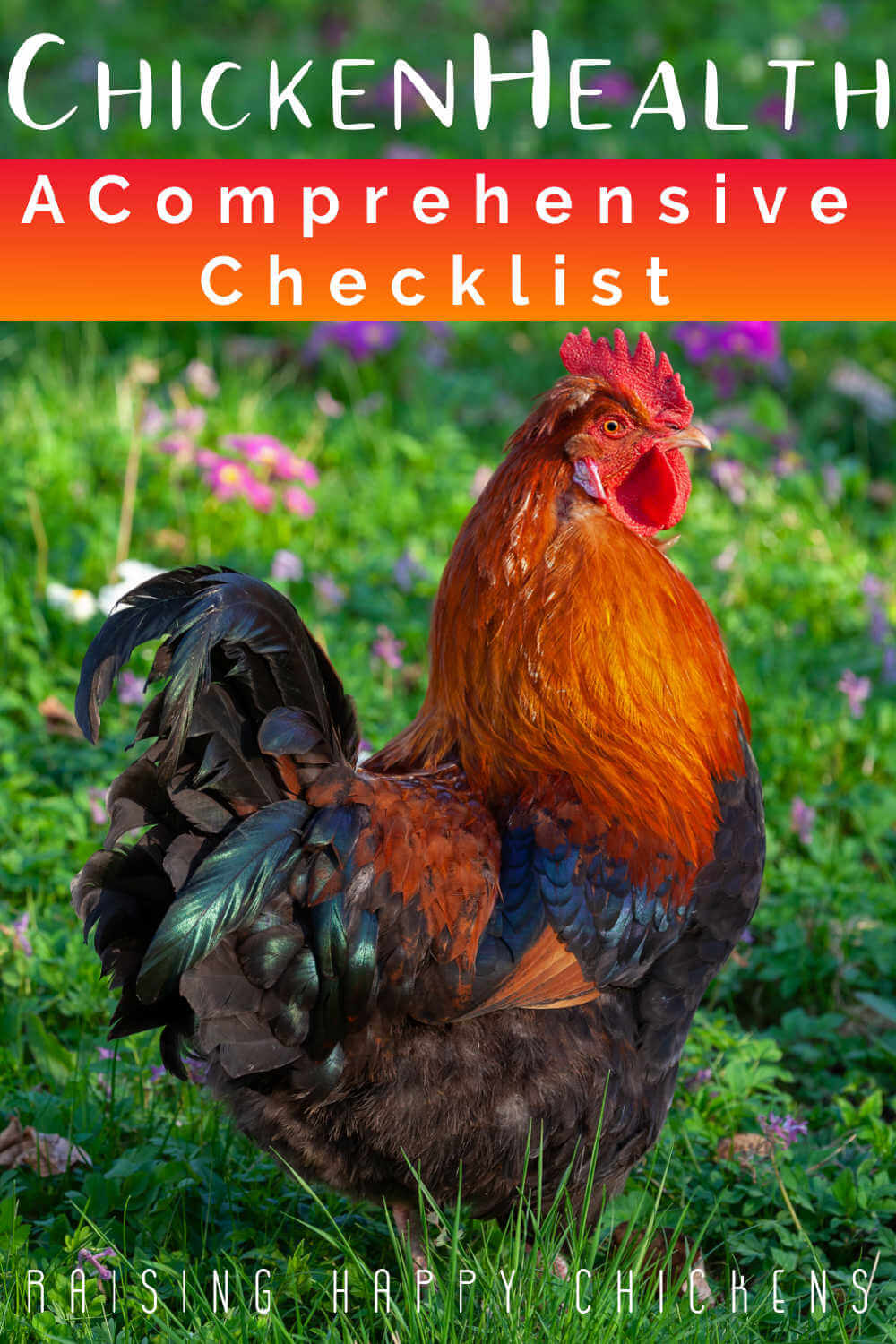 https://www.raising-happy-chickens.com/images/chicken-health-checksheet.jpeg