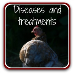 Common chicken diseases and treatment. Link.