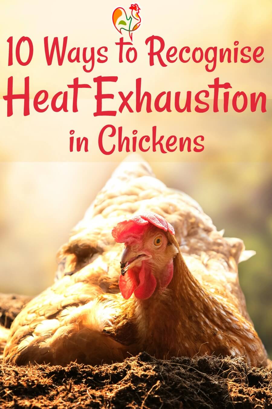 Humidity Issue! HELP  BackYard Chickens - Learn How to Raise Chickens