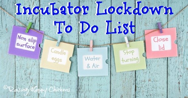 5 Easy Steps to Incubator Lockdown.