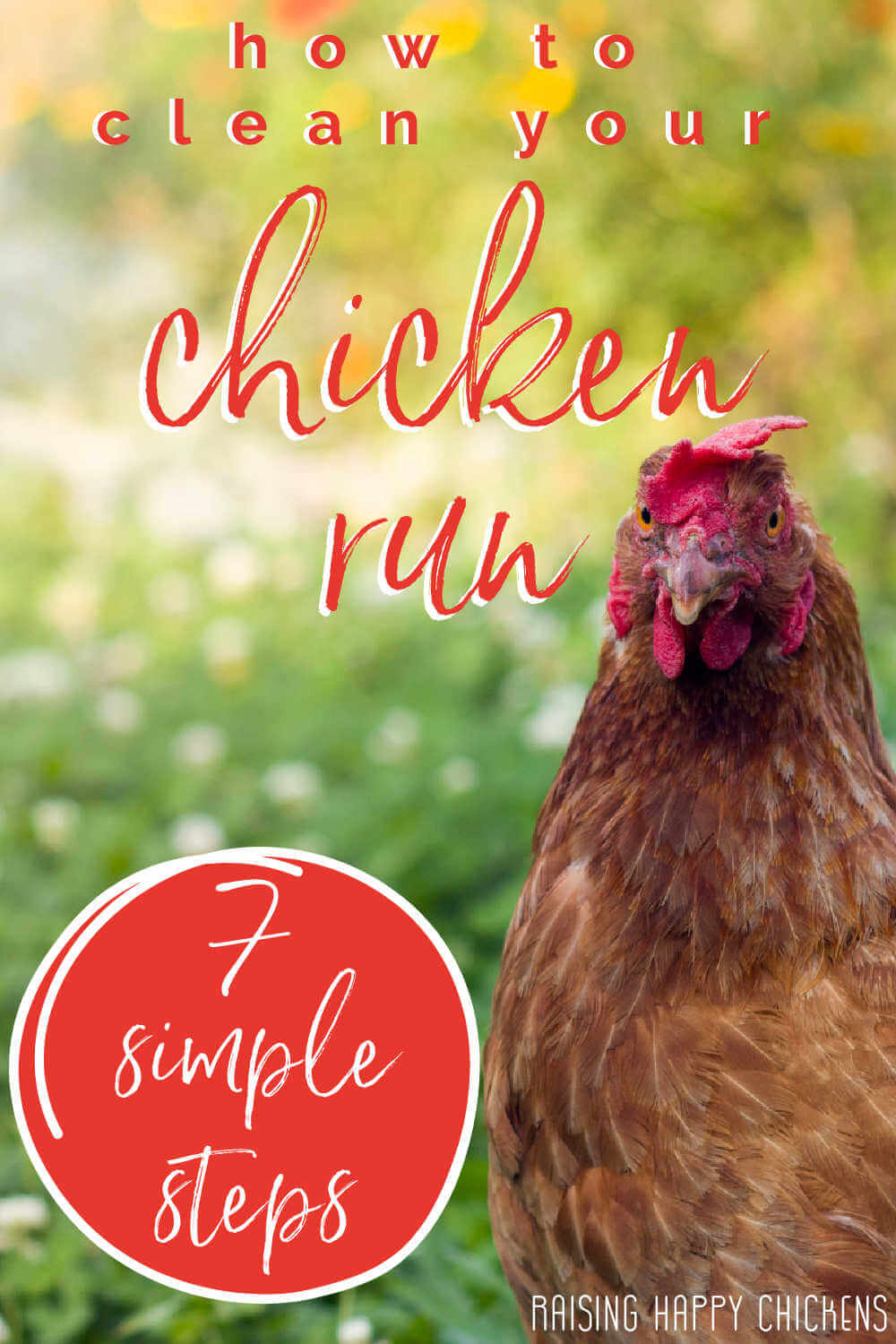 Keeping A Chicken Run Clean In 7 Easy Steps 