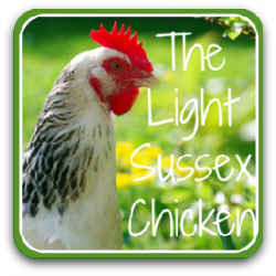 chicken breed images