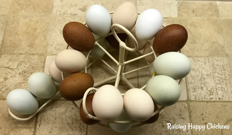 Metal Egg Skelter with Storage Basket, Spiral Egg Holder for