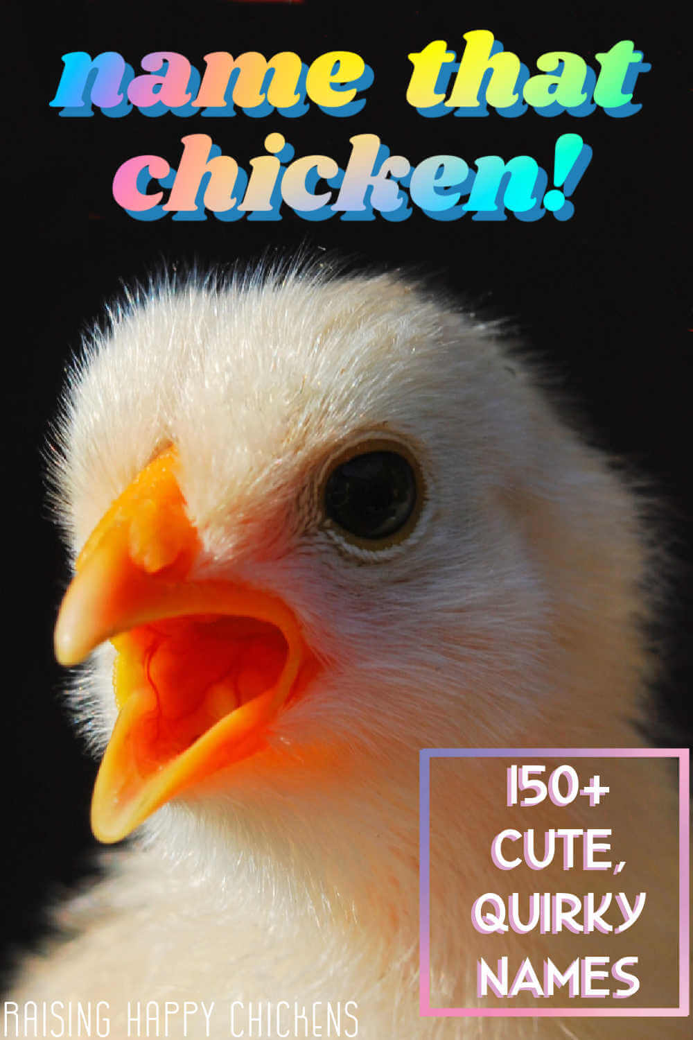 Names For Chickens 