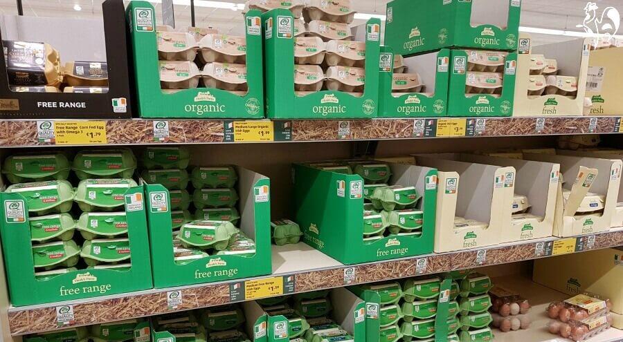 ovos de supermercado-eles não são férteis.qualquer tipo de ovo comprado num supermercado não será fértil. os ovos de supermercado não são férteis - nem mesmo os ovos de 